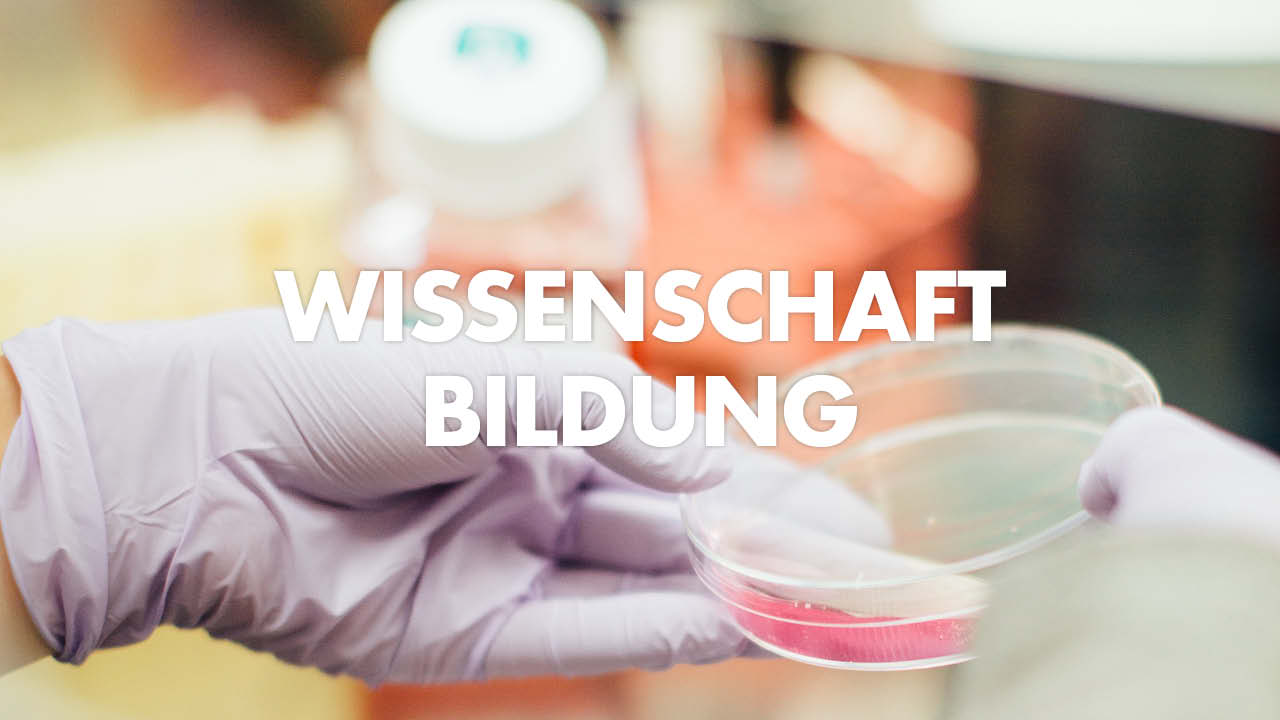 AfD-Arbeitskreise-5