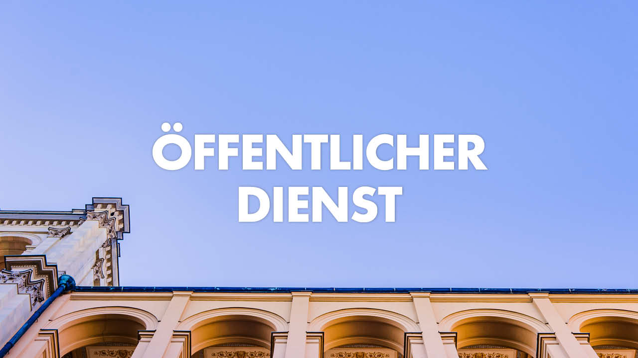 afd-bayern-ausschuesse-9 afd bayern ausschuesse 9