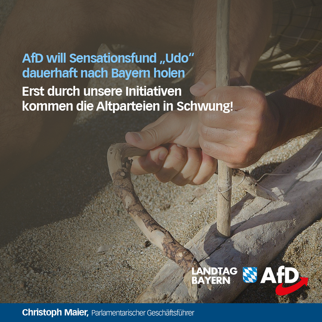 AfD will Sensationsfund „Udo“ dauerhaft nach Bayern holen - AfD ...