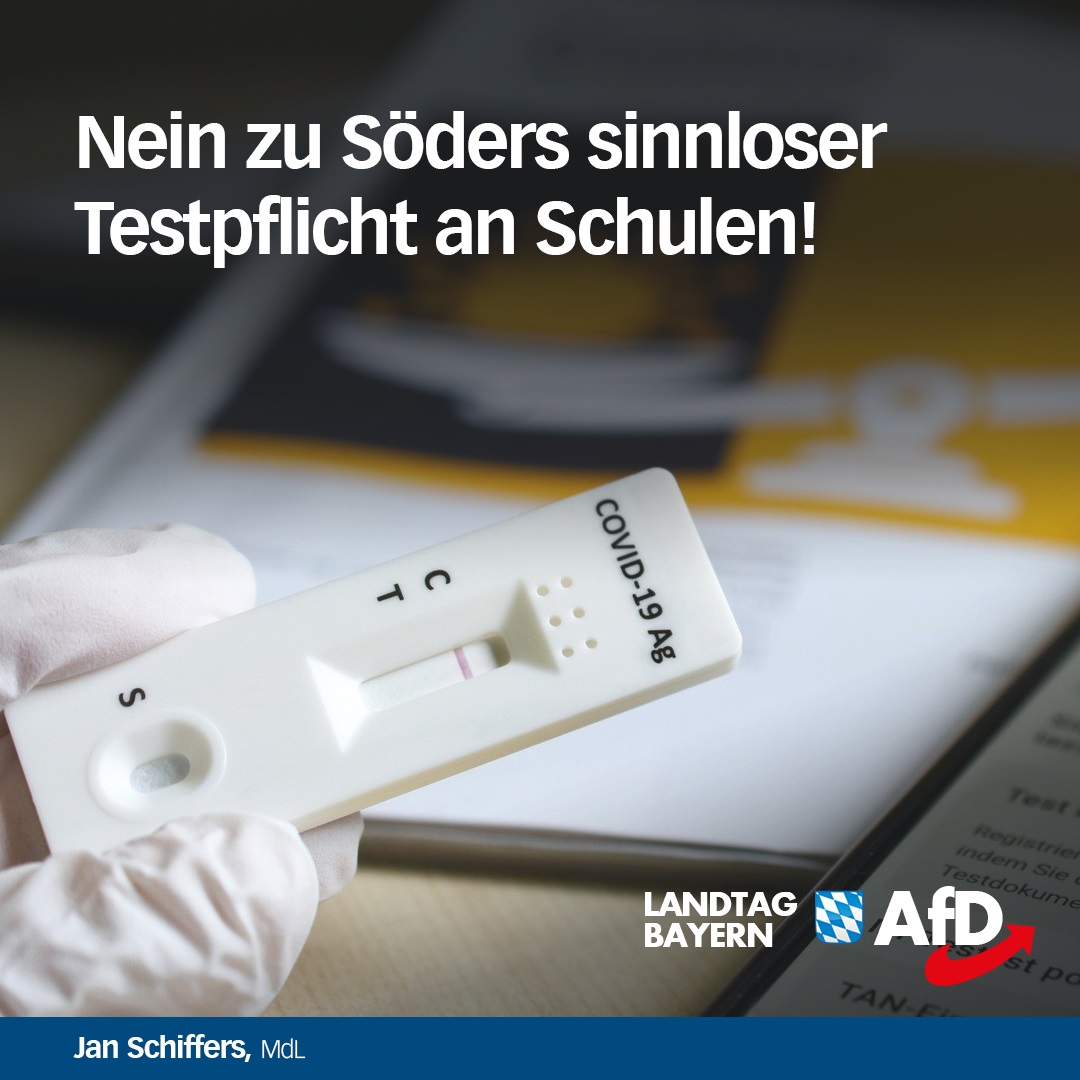 soeder testpflicht schule afd