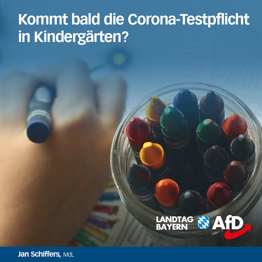 kindergarten testpflicht afd