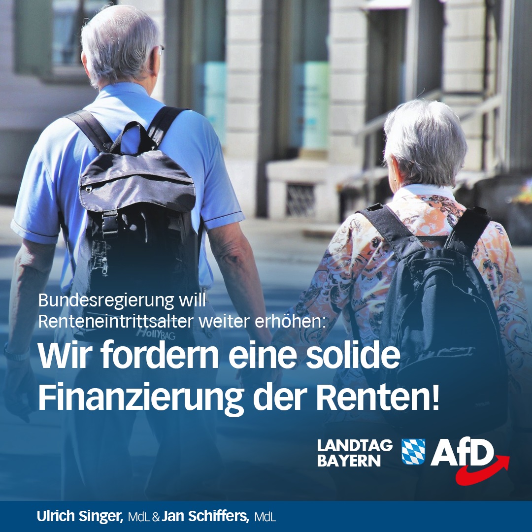 finanzierung rente afd