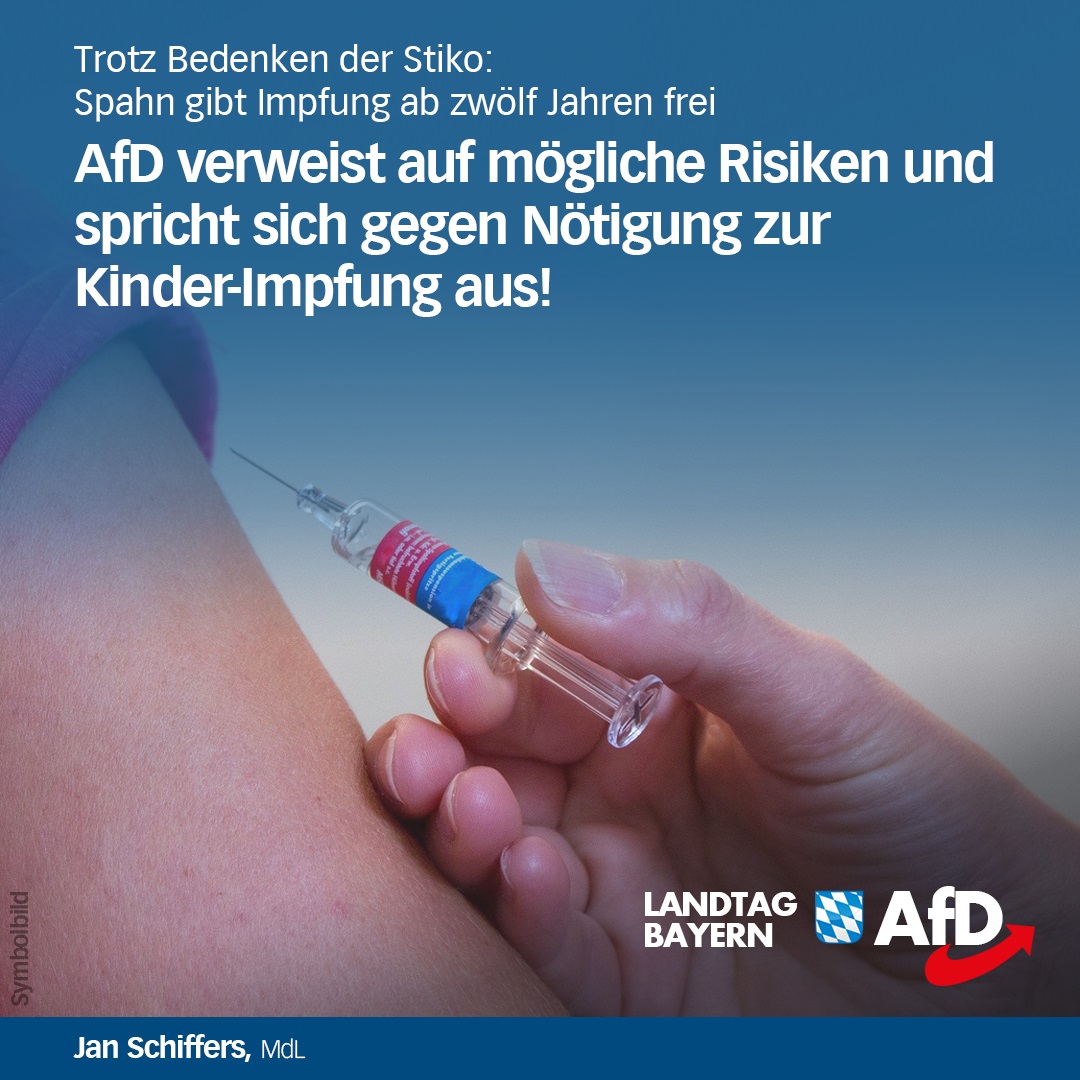 spahn kinderimpfung afd