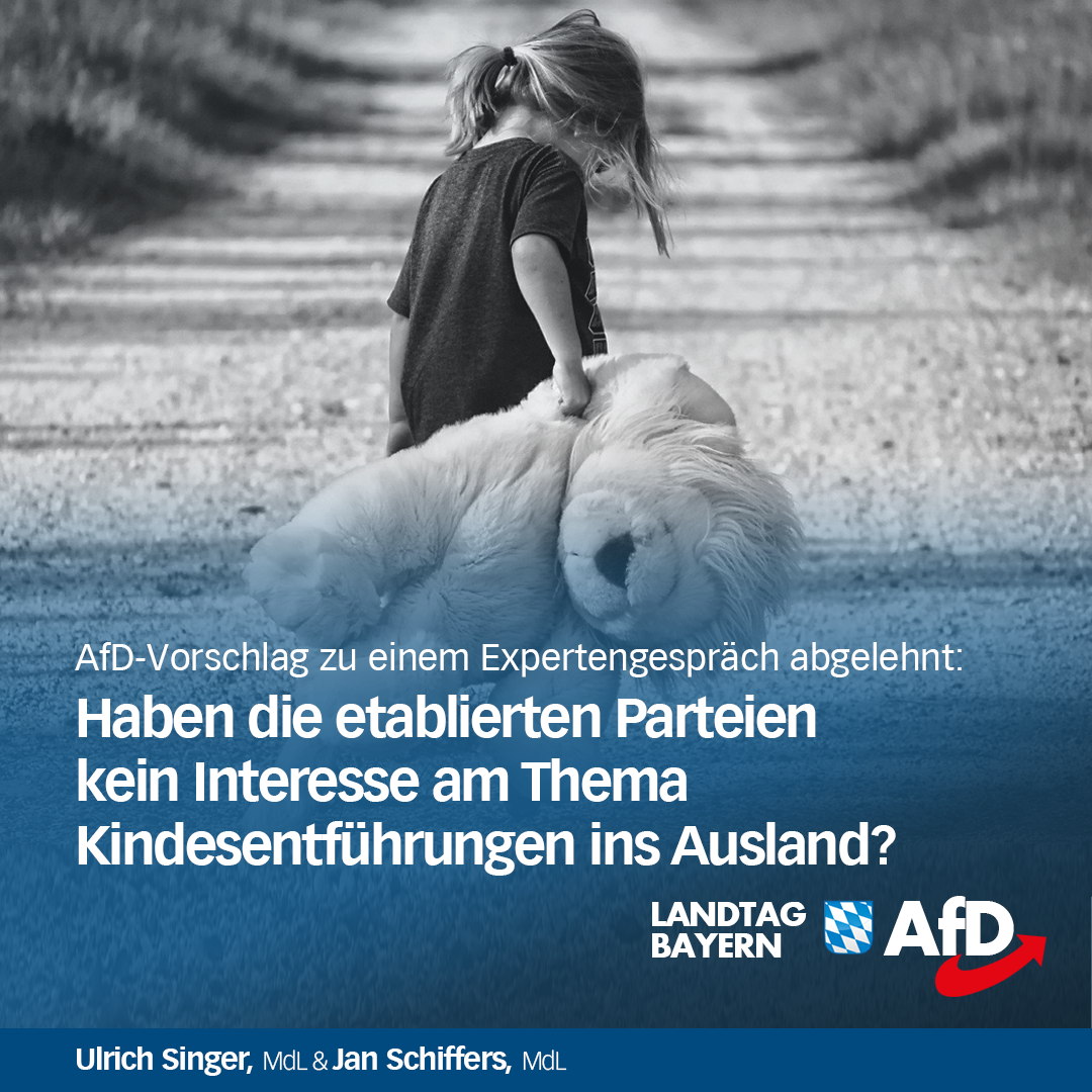 landtag kindesentfuehrungen afd 1