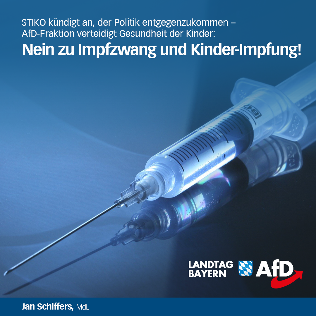 stiko impfung afd