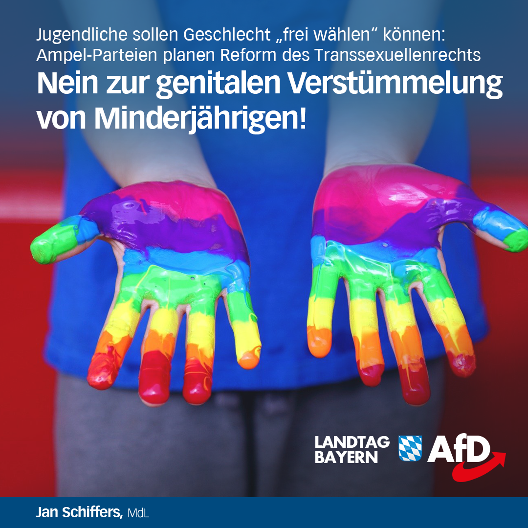 minderjaehrige lgbtq afd