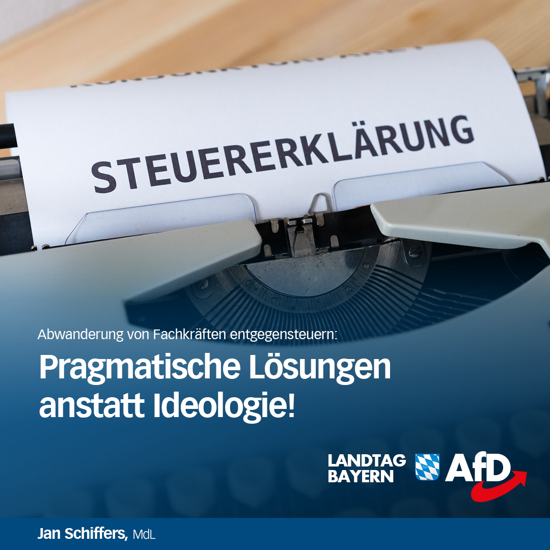 abwanderung steuerlast afd