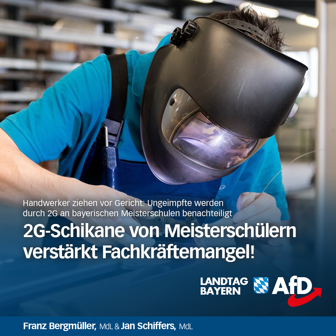 2g handwerker meister afd