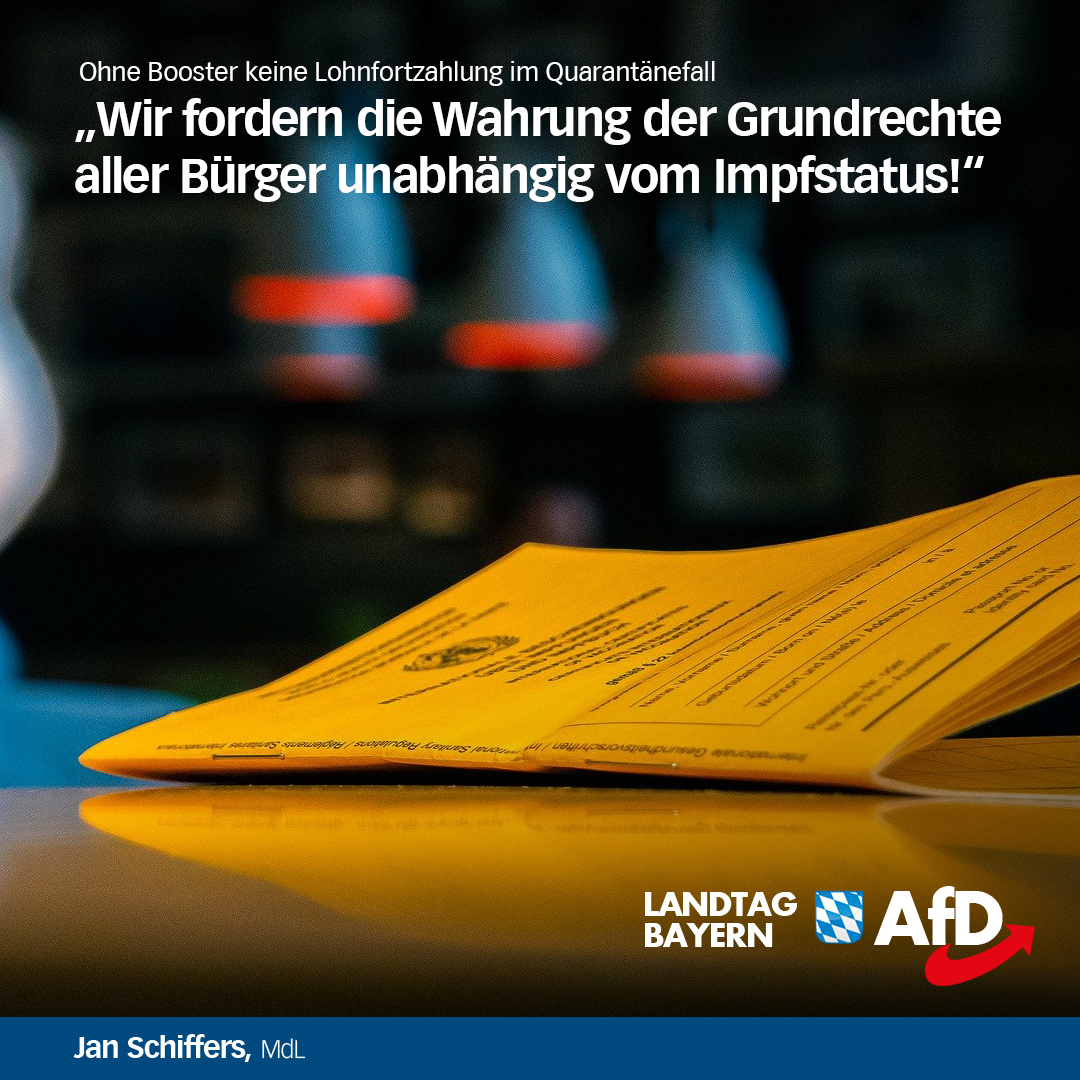 booster impfpflicht afd