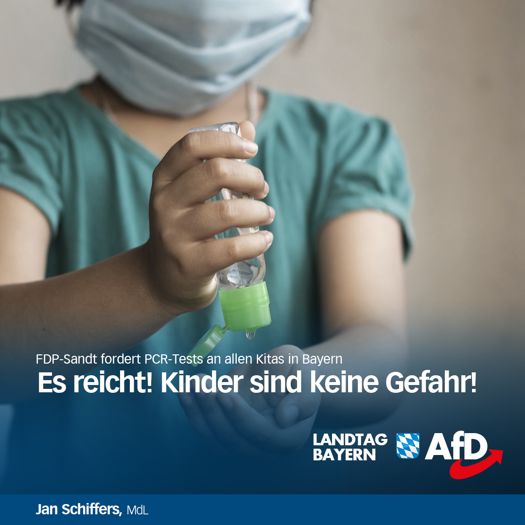 fdp Kita test afd