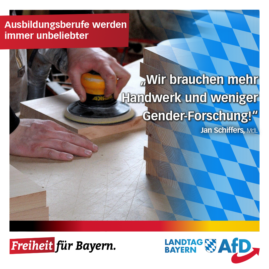 wir brauchen handwerk afd