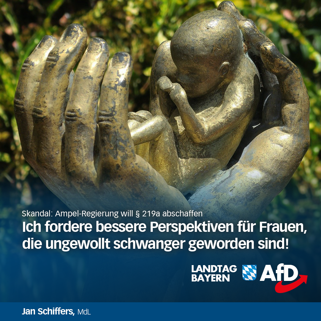§219a abtreibungen afd