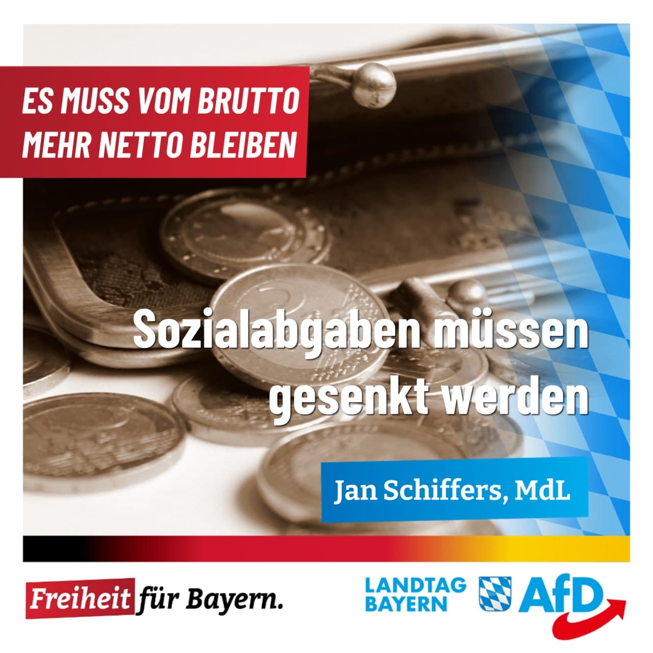 mehr brutto netto afd