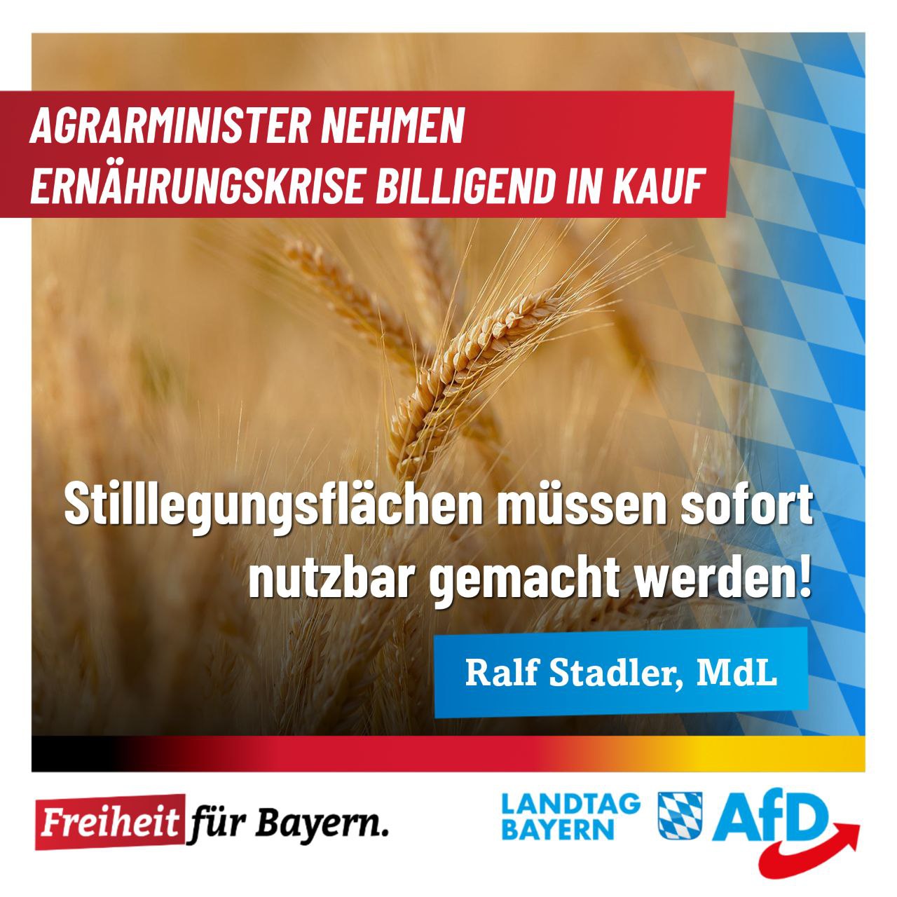 Billigend In Kauf Nehmen Ralf Stadler: Stilllegungsflächen müssen sofort nutzbar gemacht werden