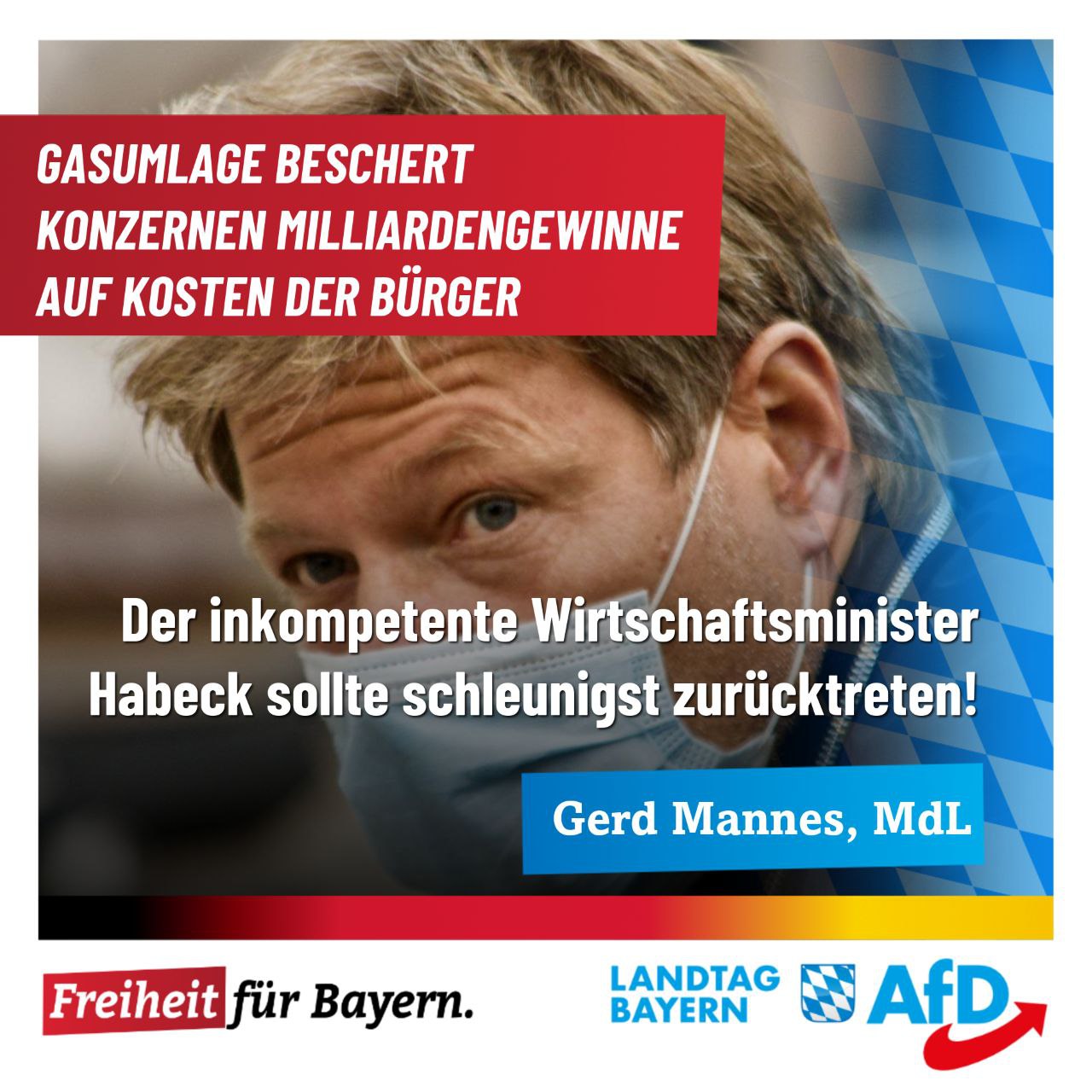 Gerd Mannes Der inkompetente Wirtschaftsminister Habeck sollte