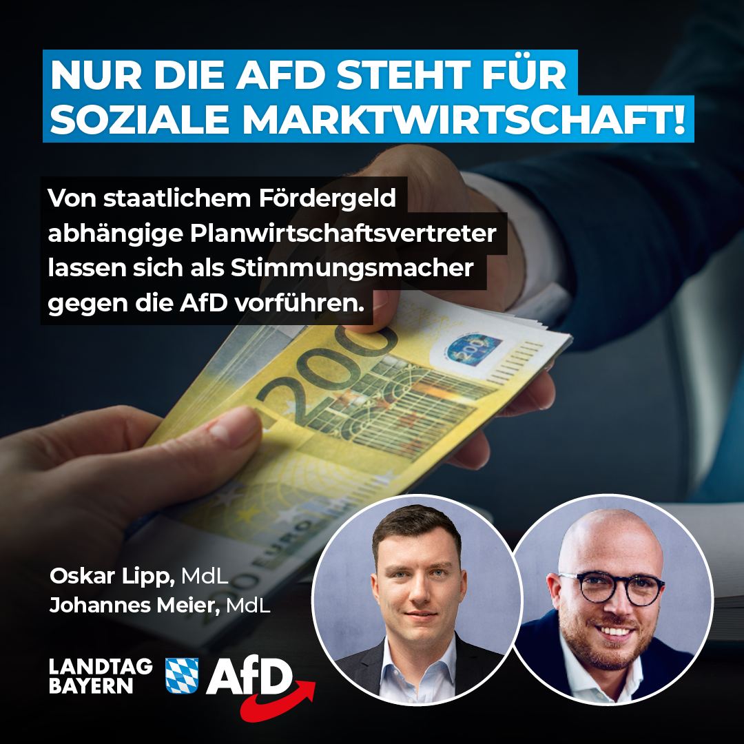 soziale Marktwirtschaft afd
