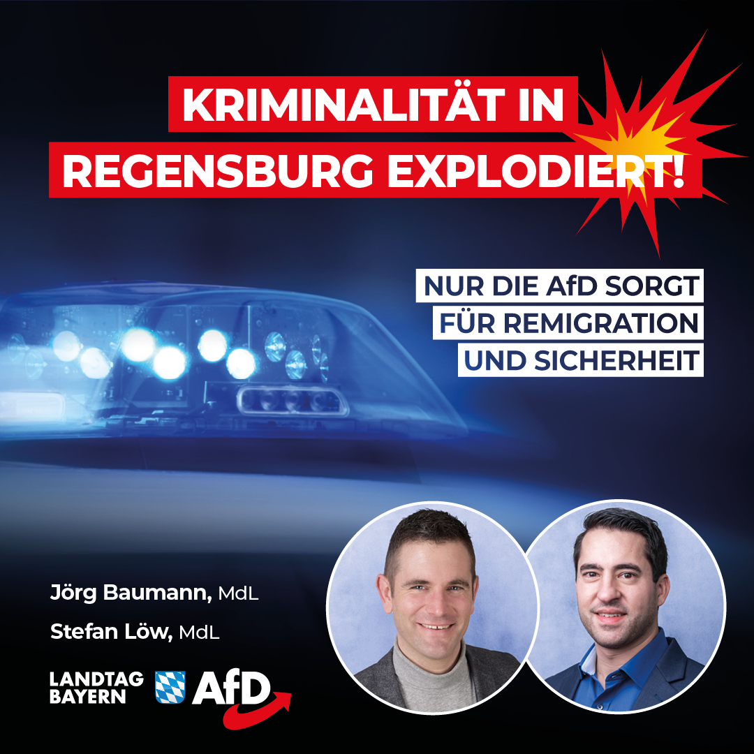 20240323 Baumann Loew Regensburg Kriminalitaet