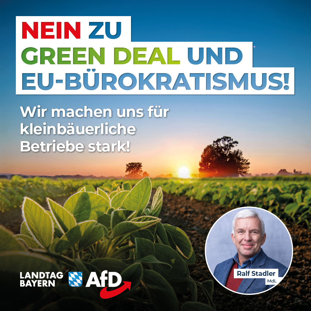 20240516 2 Stadler GreenDeal