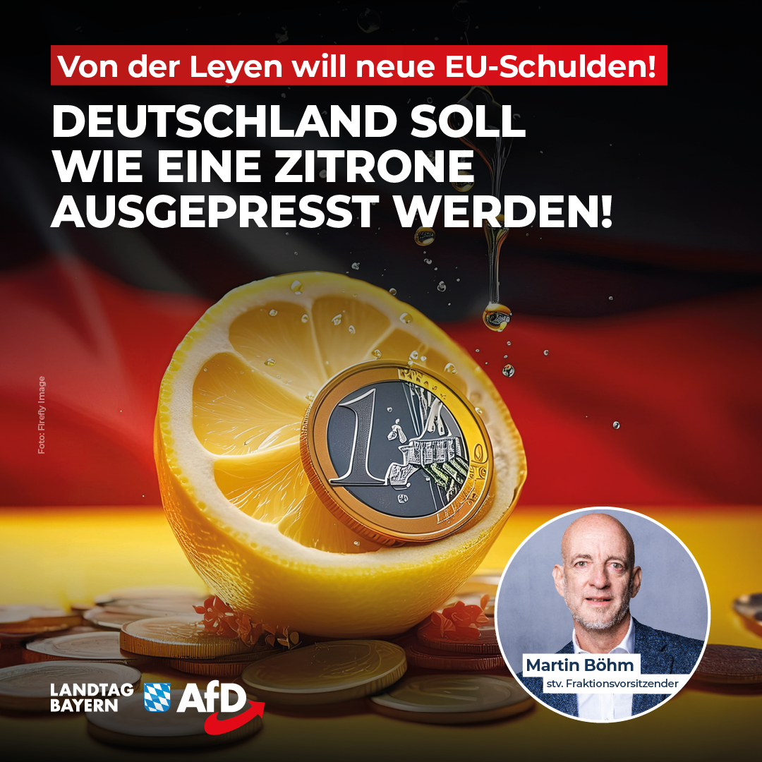 20240528 1 Boehm EU Schulden