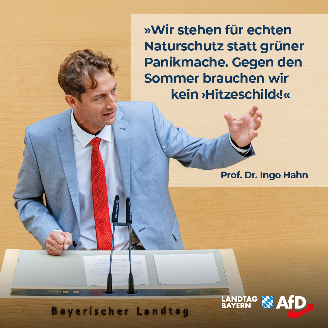 20240717 2 Hahn Hitzeschild