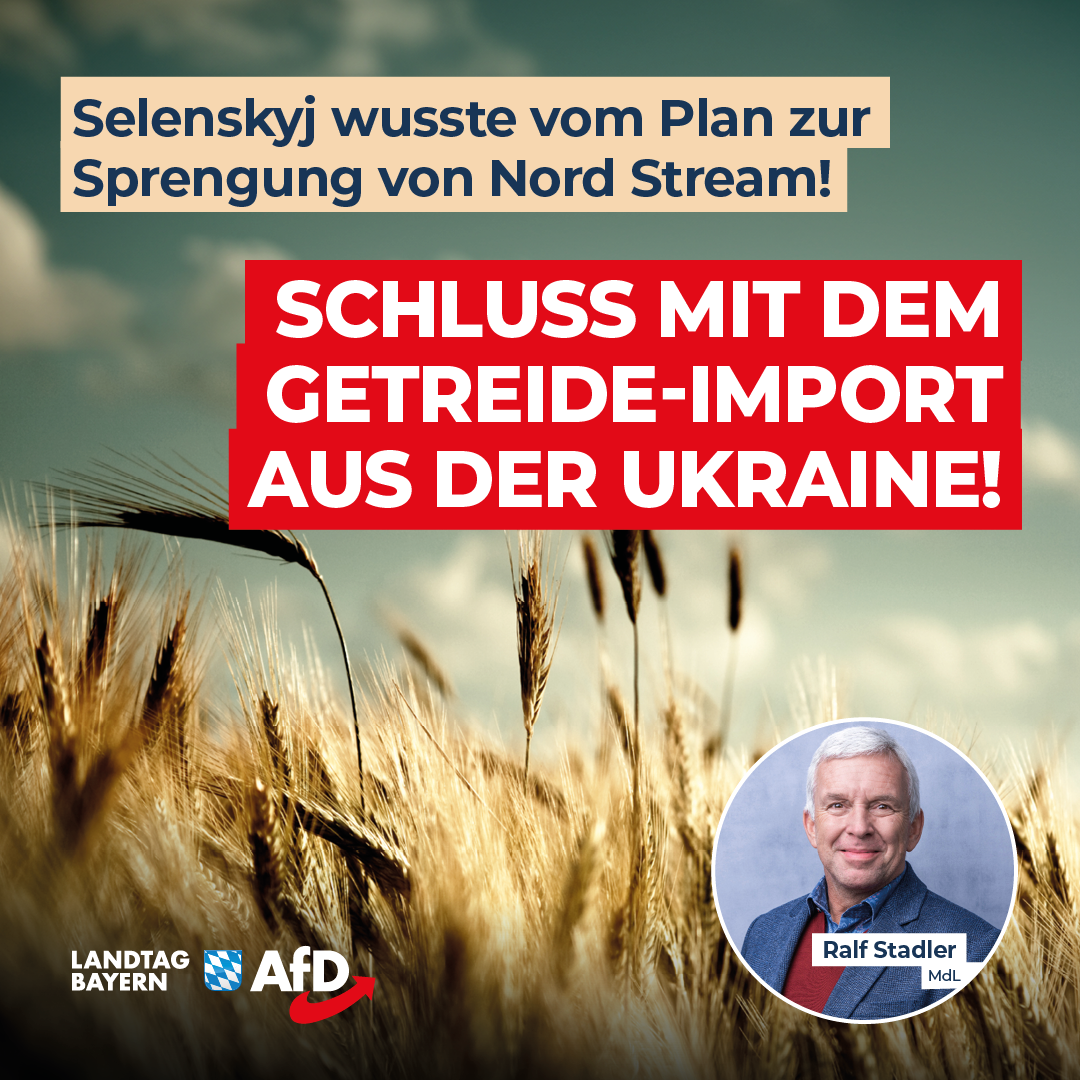 20240820 Stadler Getreide Urkraine
