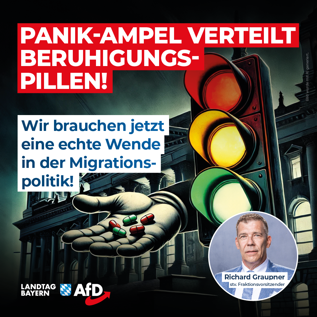 20240829 Graupner Migrationspolitik 1