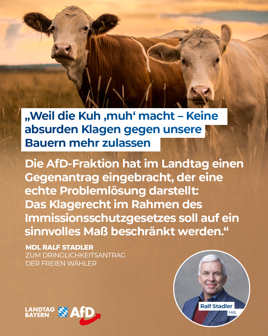 die kuh macht muh