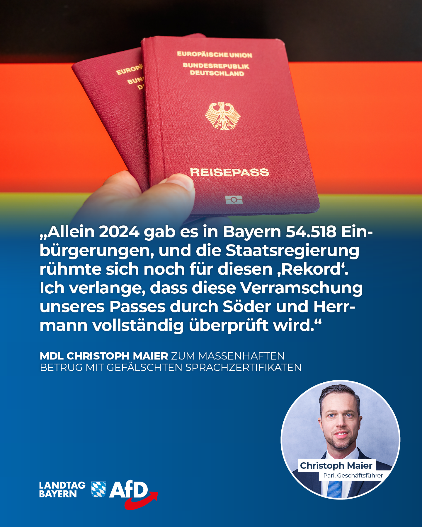 Einbuergerungsbetrug