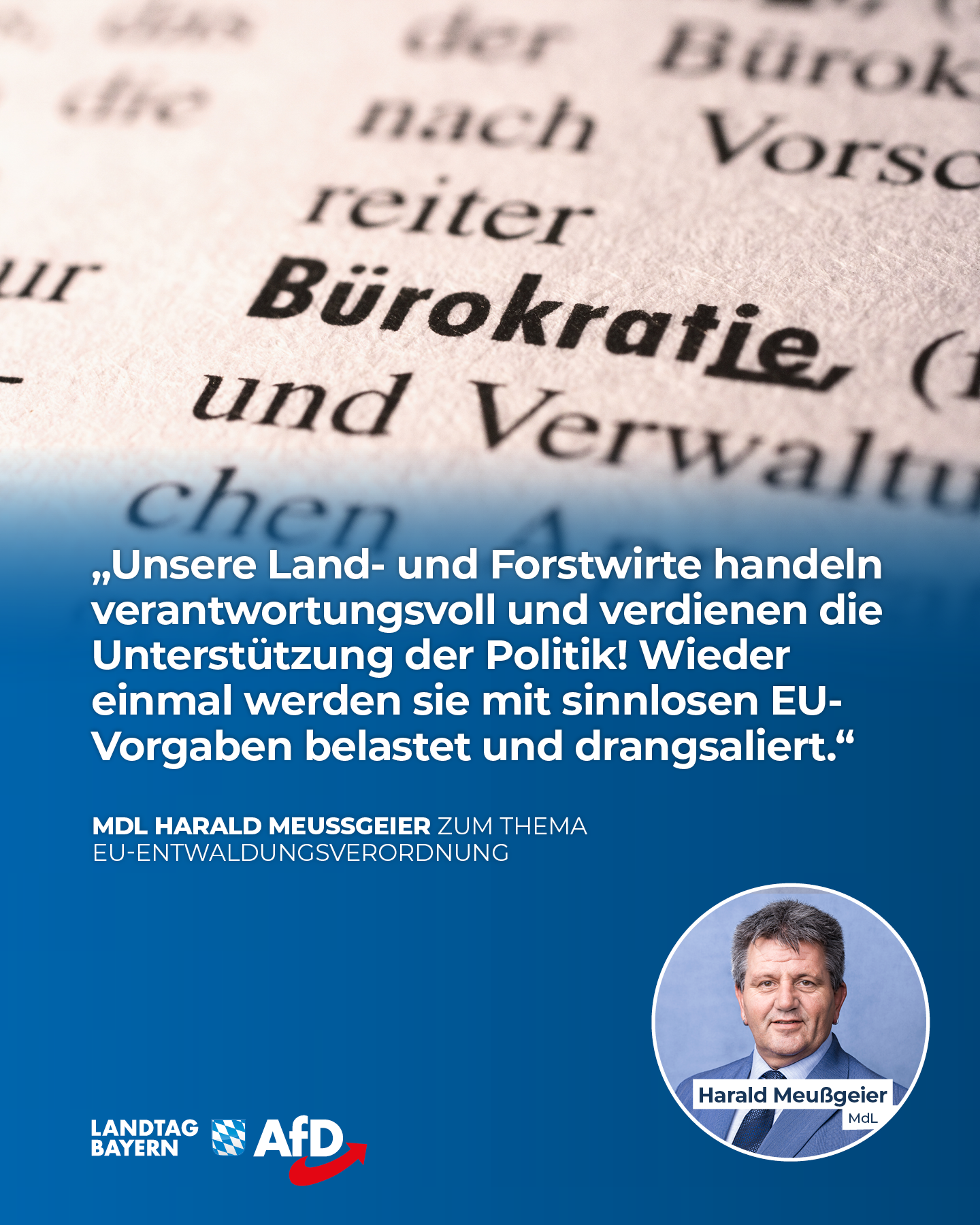 Entwaldungsverordnung