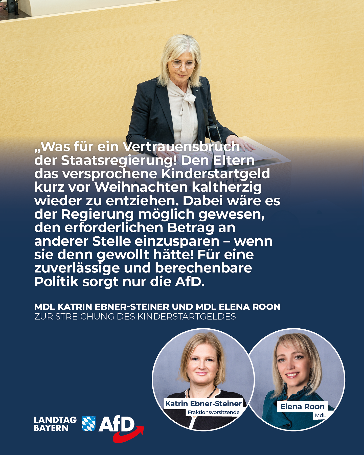 AfD Fraktion im Bayerischen Landtag 12 Bayern Kinderstartgeld streichen