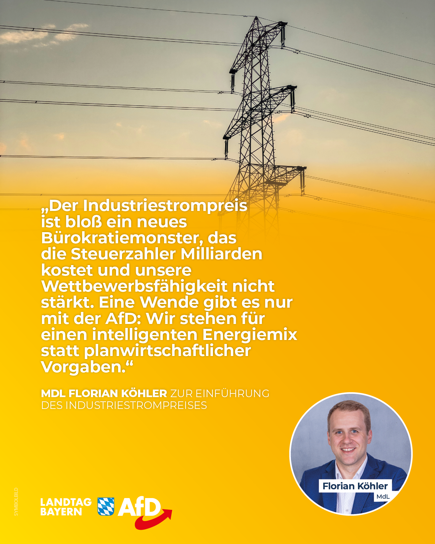 AfD Fraktion im Bayerischen Landtag 13 Einfuehrung Industriestrompreis