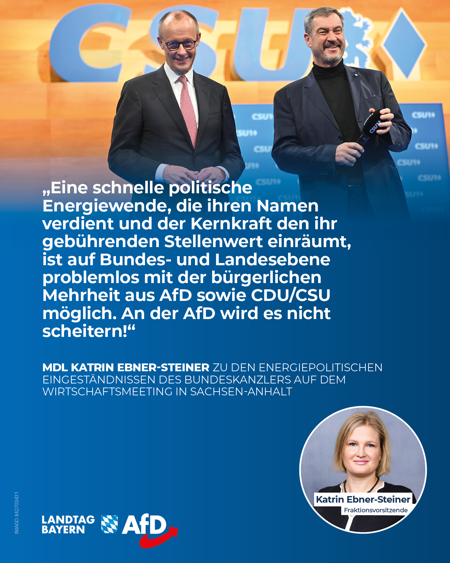 Kernkraft CDU CSU AfD