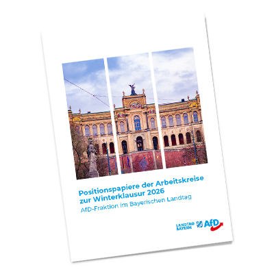 26 01 Positionspapierheft