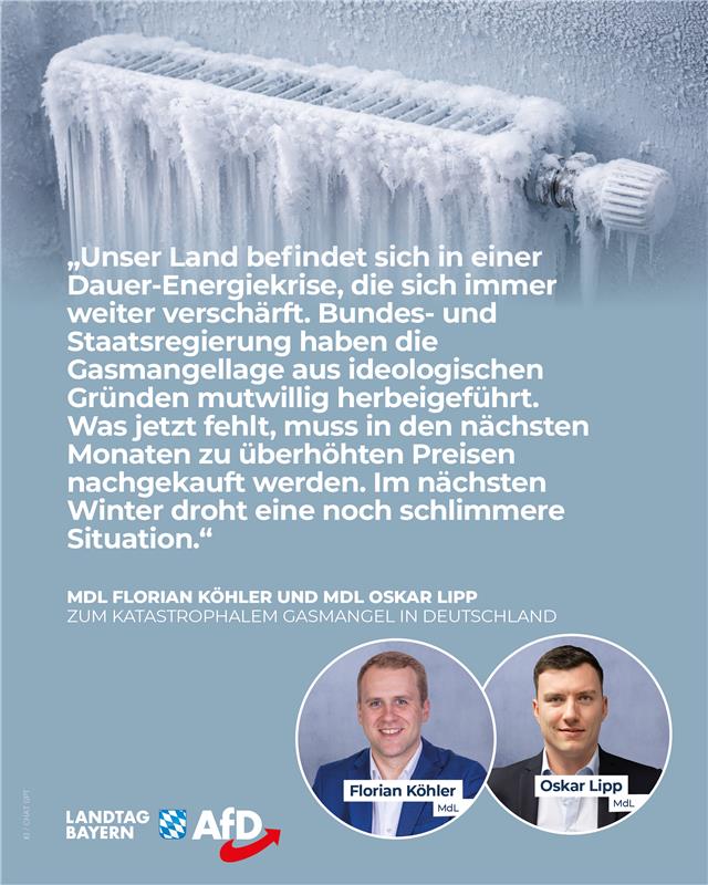 AfD Fraktion im Bayerischen Landtag 13 Katastrophaler Gasmangel