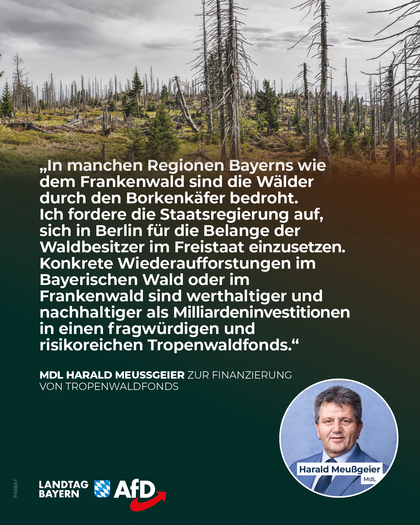 AfD Fraktion im Bayerischen Landtag 12 Waldbesitzer Bayern Tropenfonds