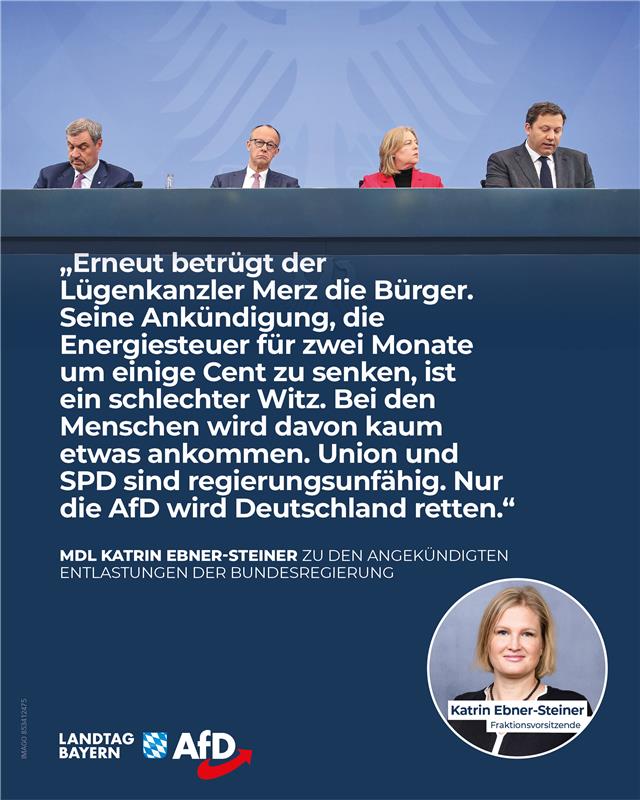 AfD Fraktion im Bayerischen Landtag 13 Entlastungen Merz tanken