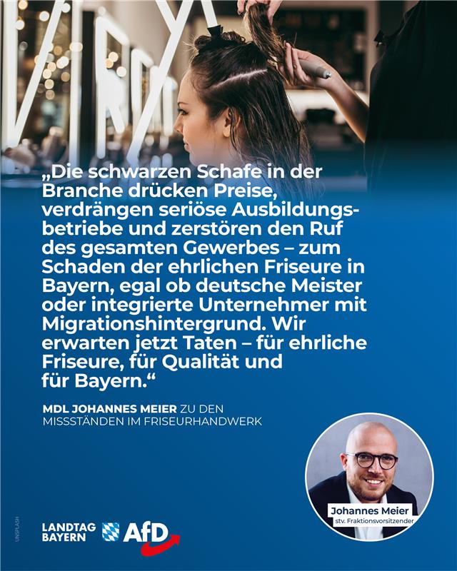 AfD Fraktion im Bayerischen Landtag 12 Schwarze Schafe Handwerk Friseur