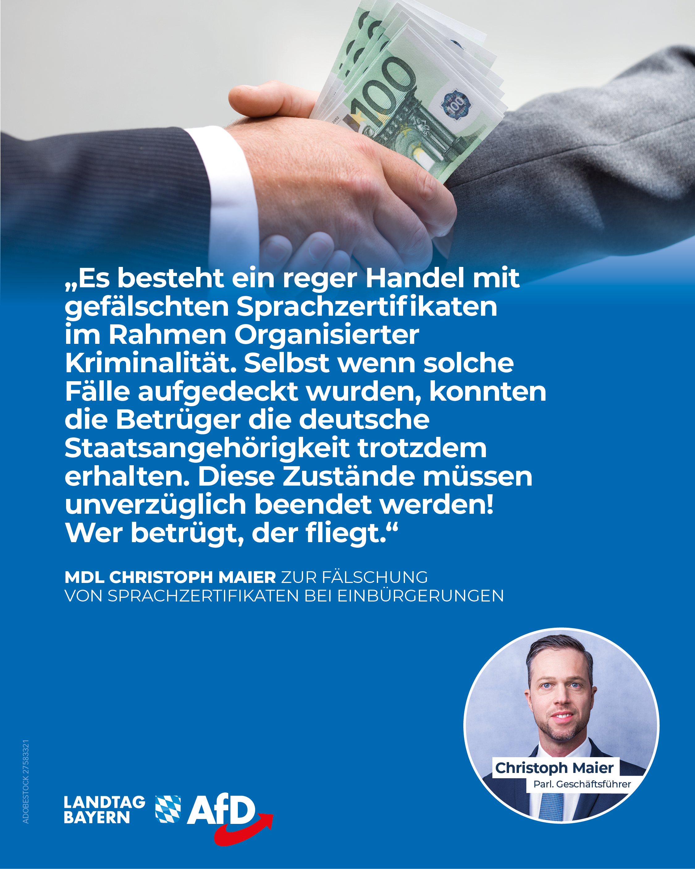 Sprachzertifikate Faelschung Einbuergerung