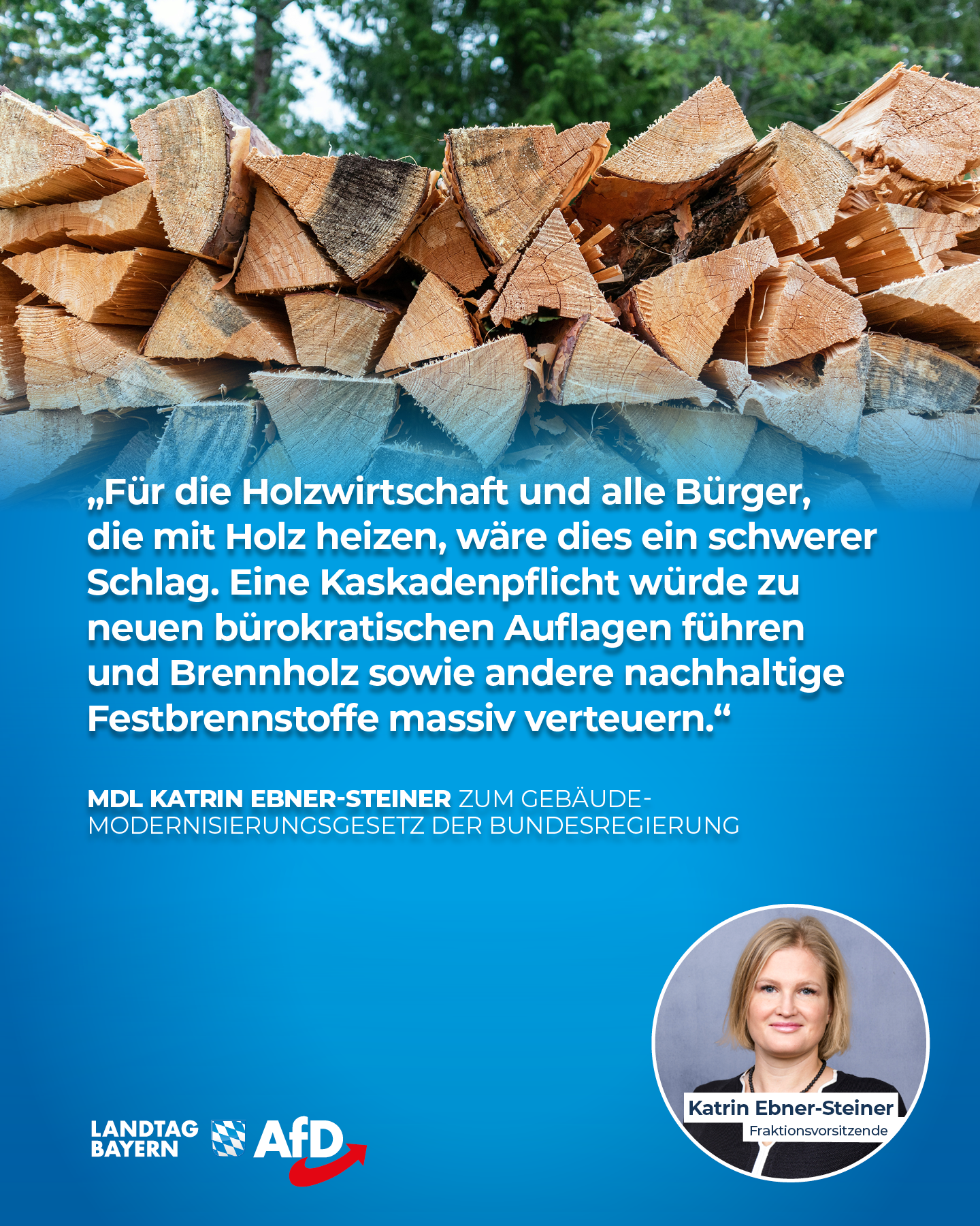 Neues Heizungsgesetz Mogelpackung