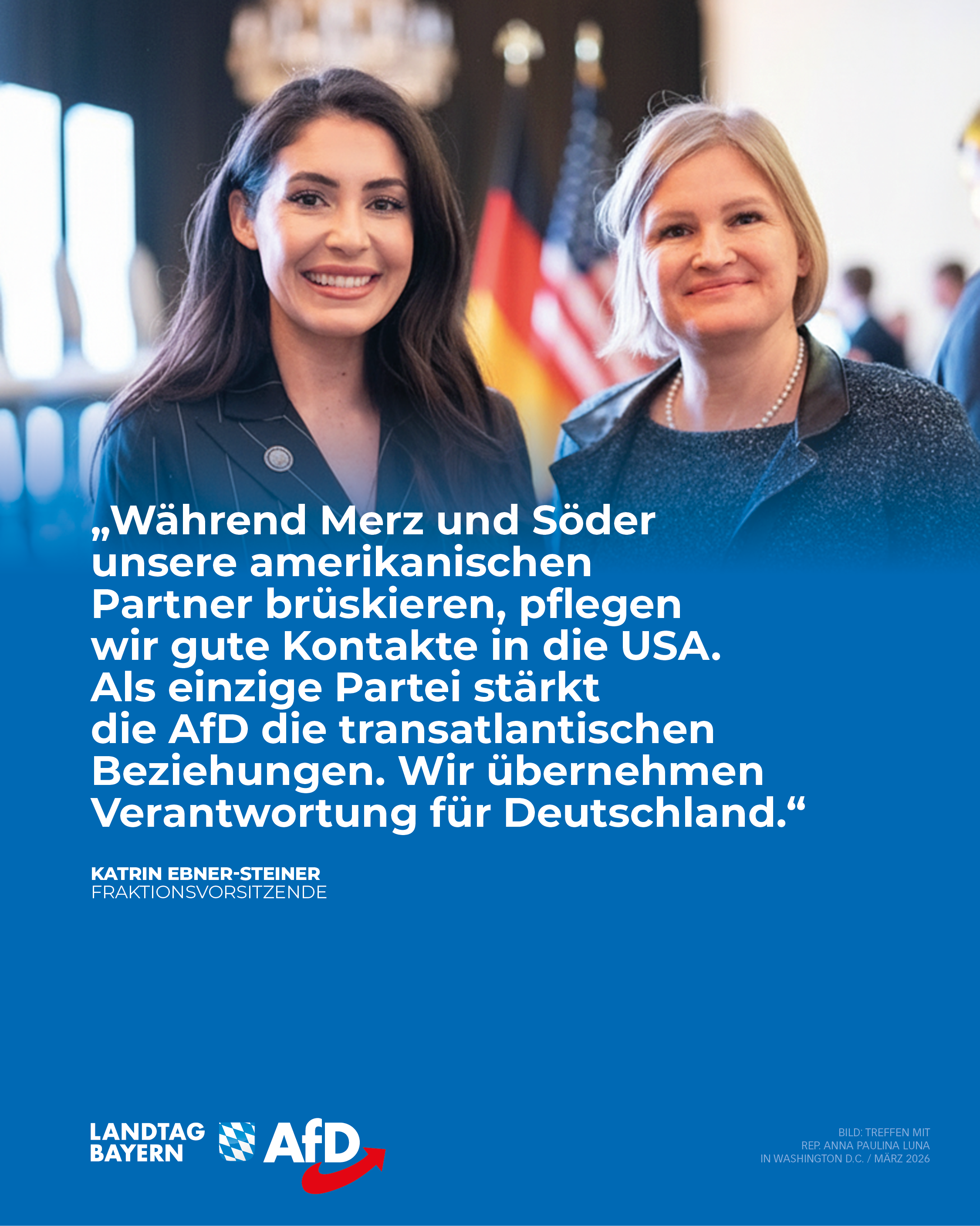 afd transatlantische Beziehungen