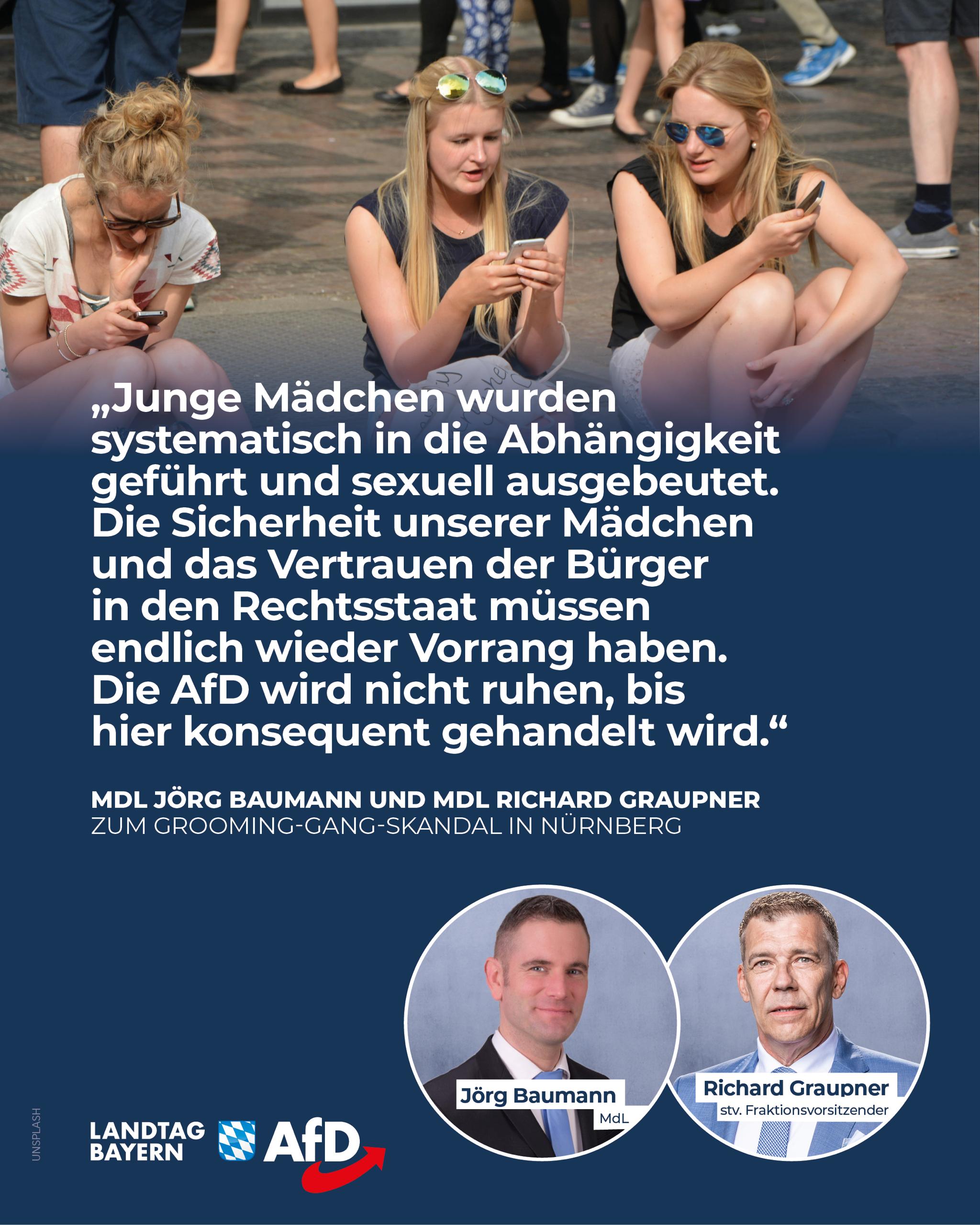 AfD Fraktion im Bayerischen Landtag 12 Grooming Gang Skandal in Nuernberg