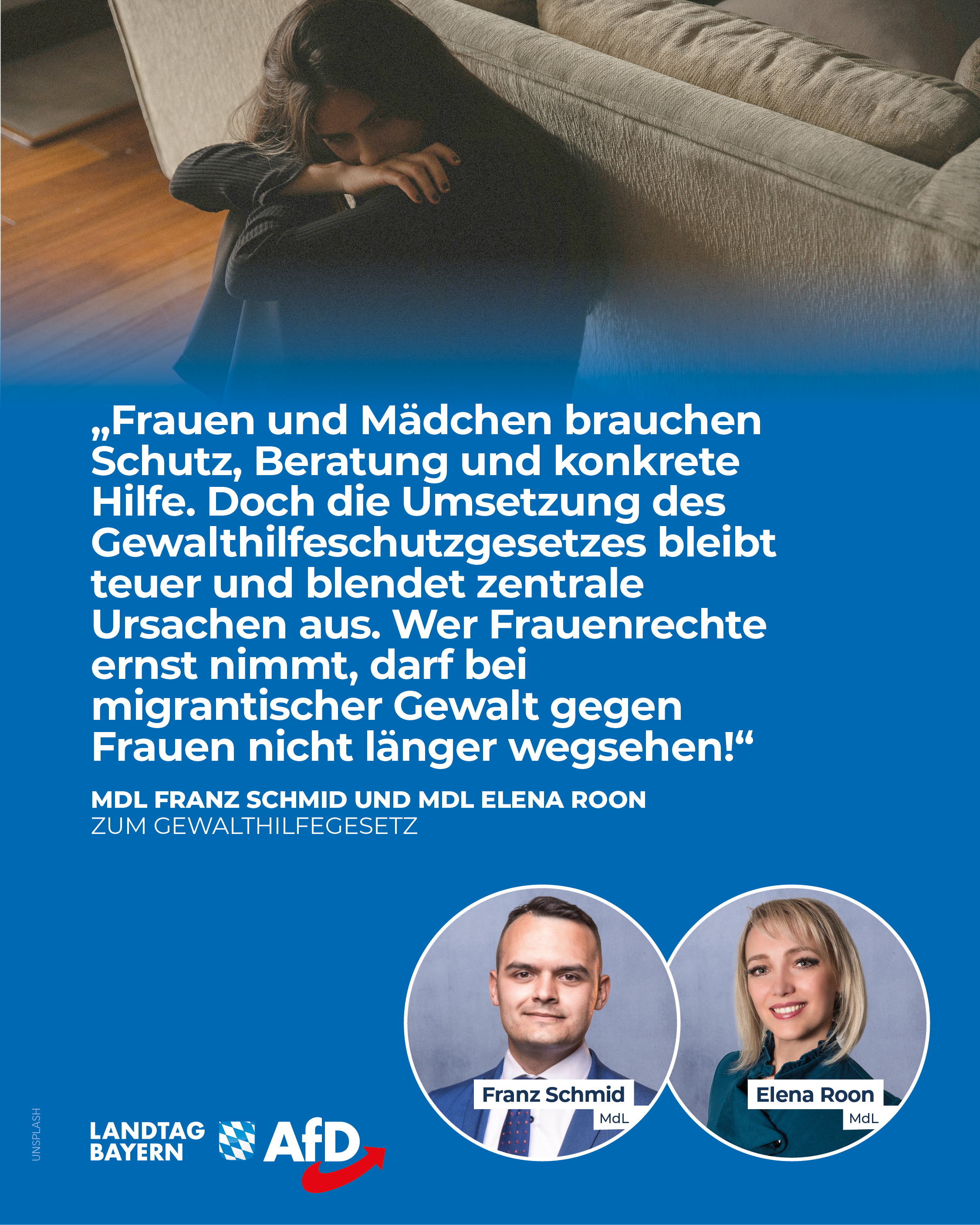 AfD Fraktion im Bayerischen Landtag 12 migrantische Frauengewalt