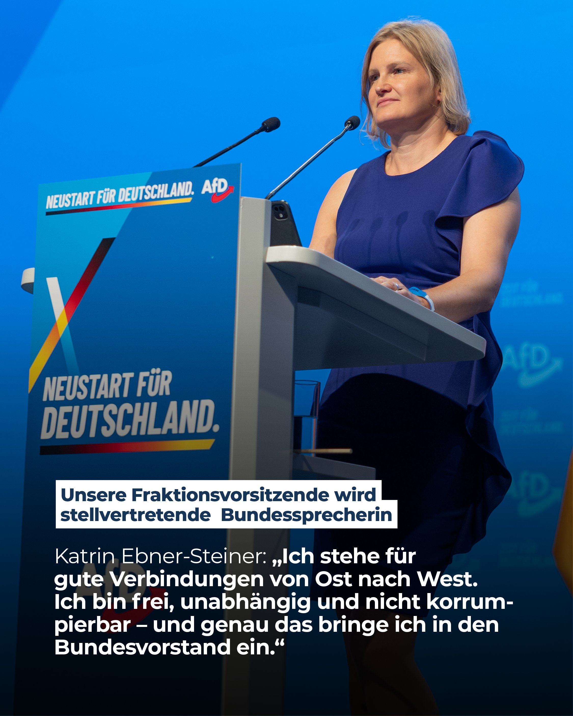 AfD Fraktion im Bayerischen Landtag 12 KESBuVo
