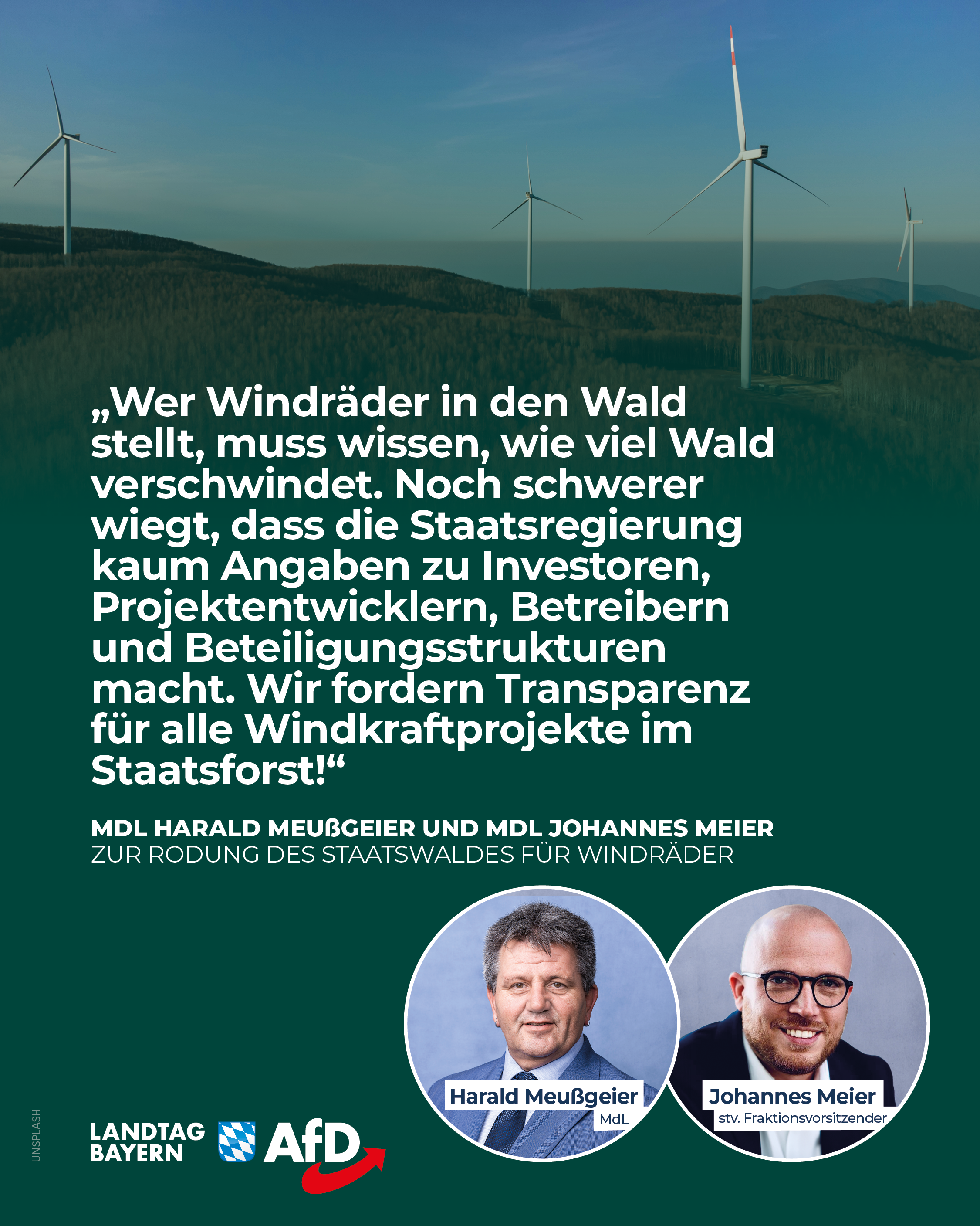 Rodung Staatswald Bayern