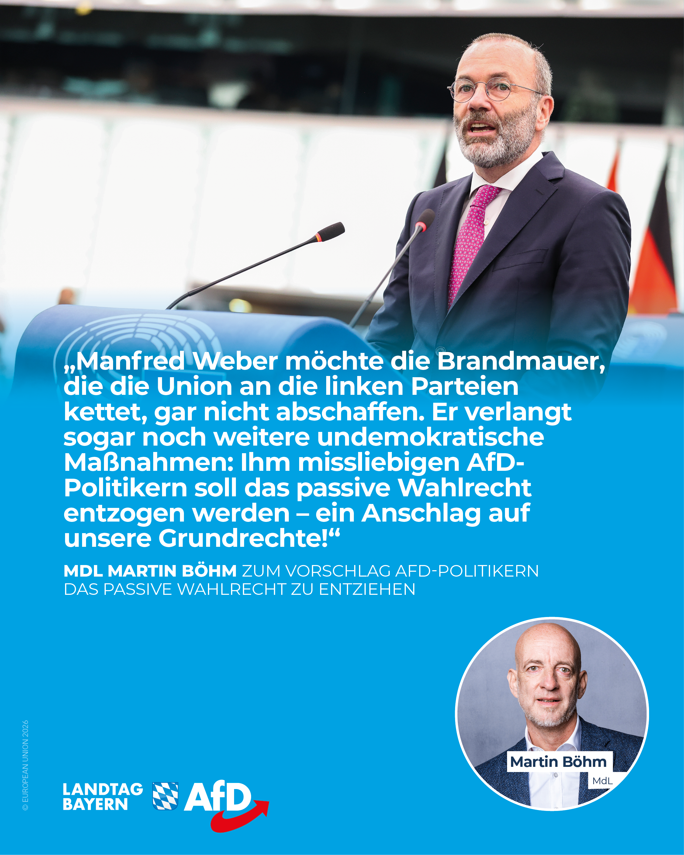 AfD Fraktion im Bayerischen Landtag 12 Manfred Weber passives wahlrecht