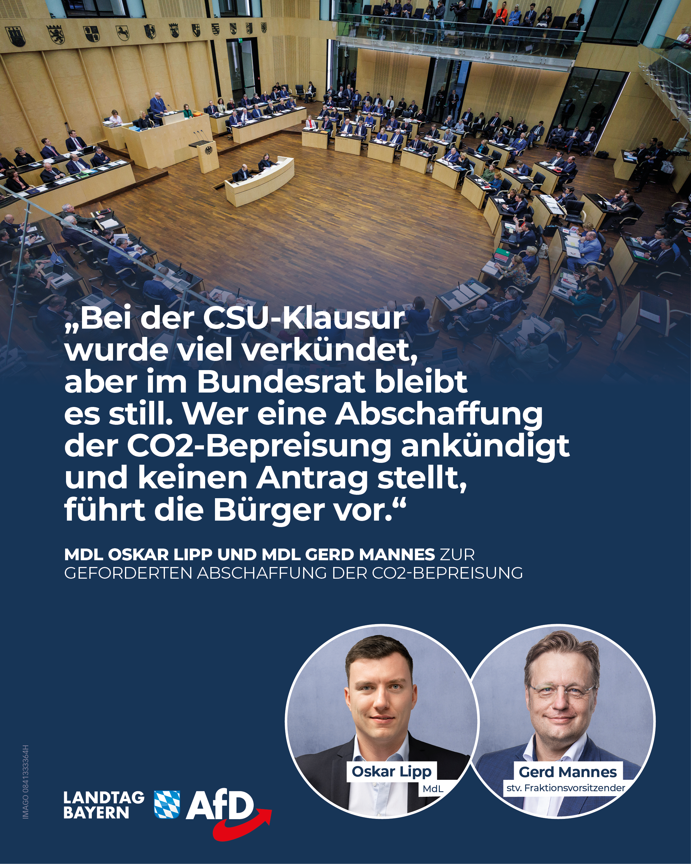 AfD Forderung co2 preis