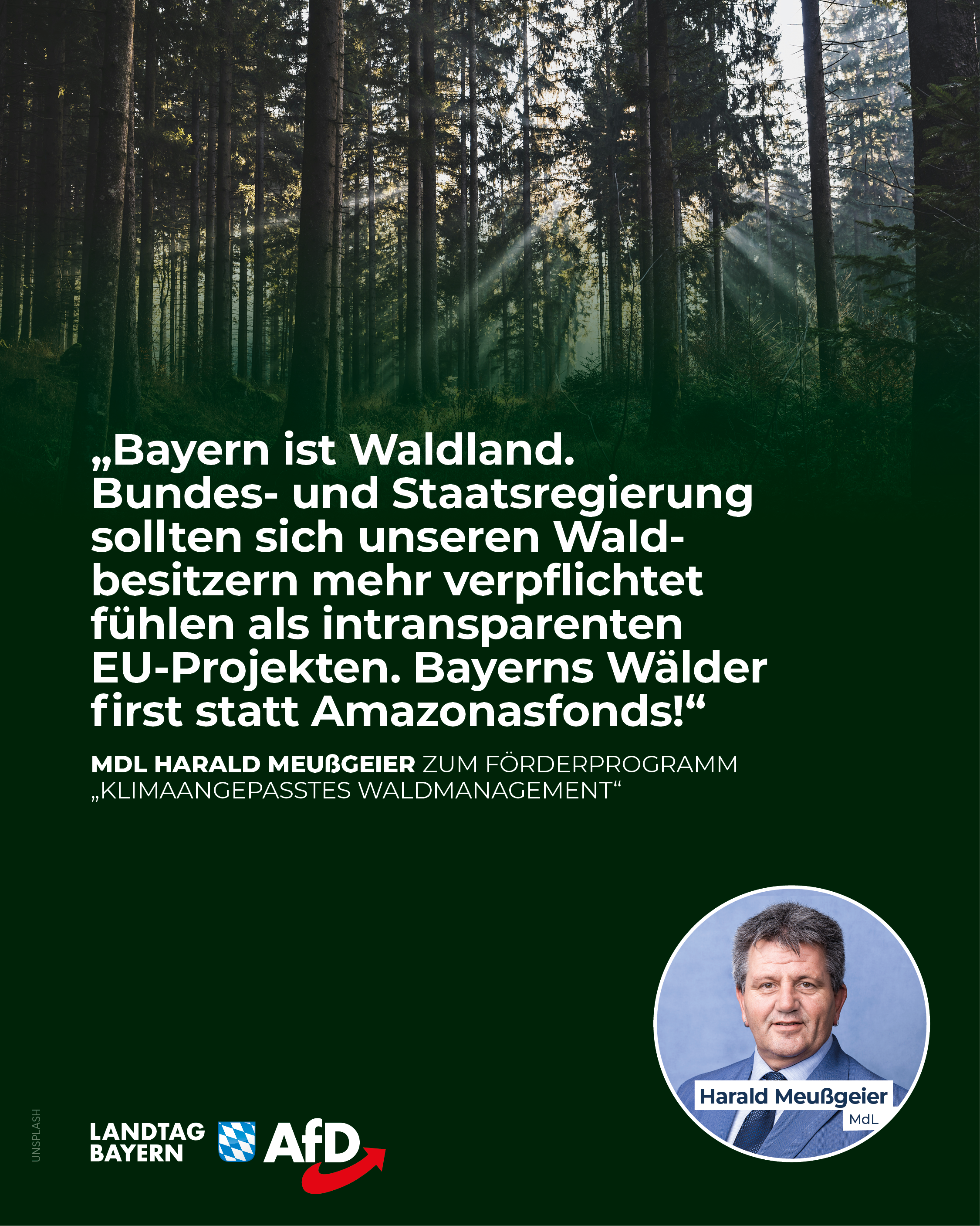 Bayern Wald