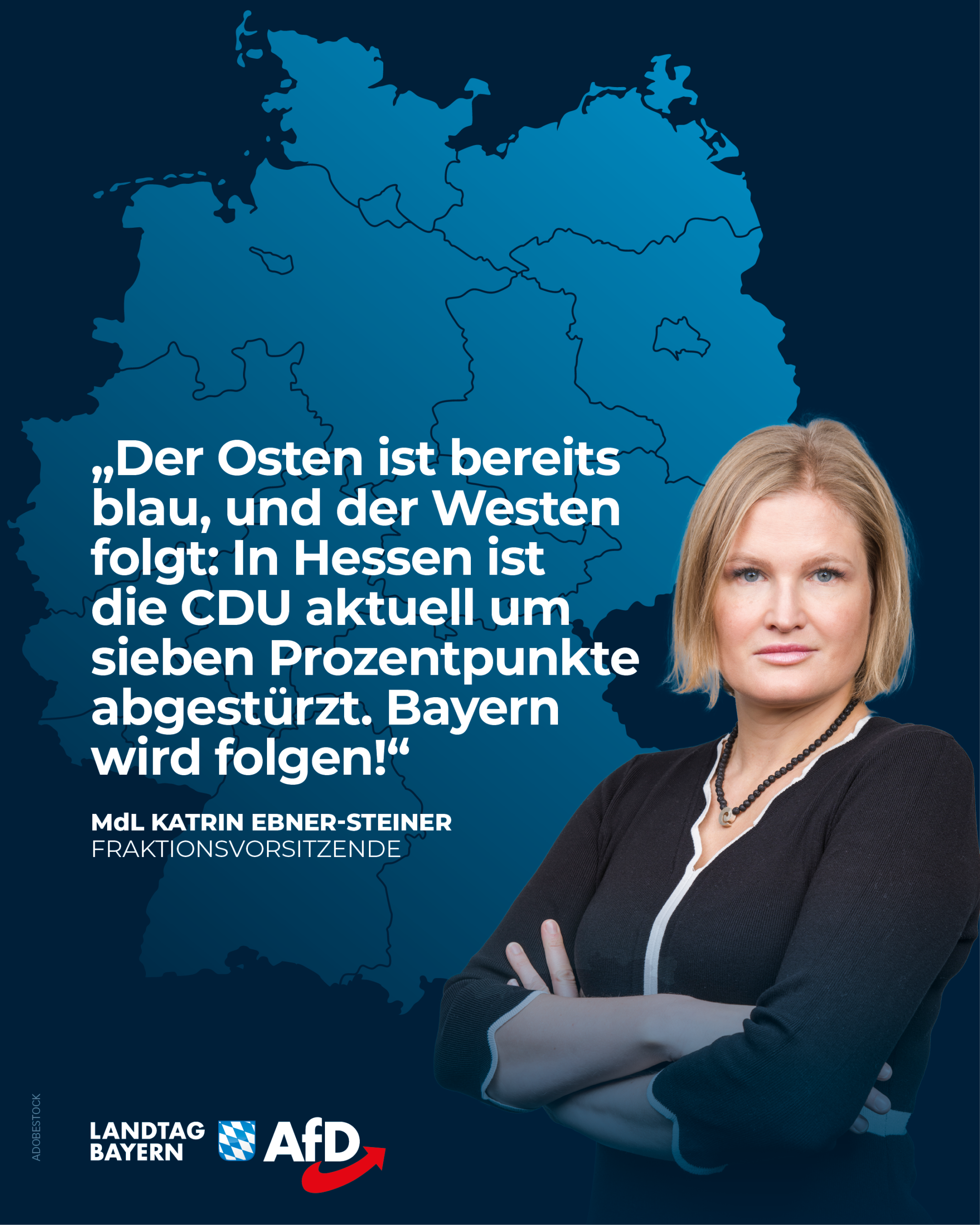 AfD Fraktion im Bayerischen Landtag 12 Blaues Deutschland scaled