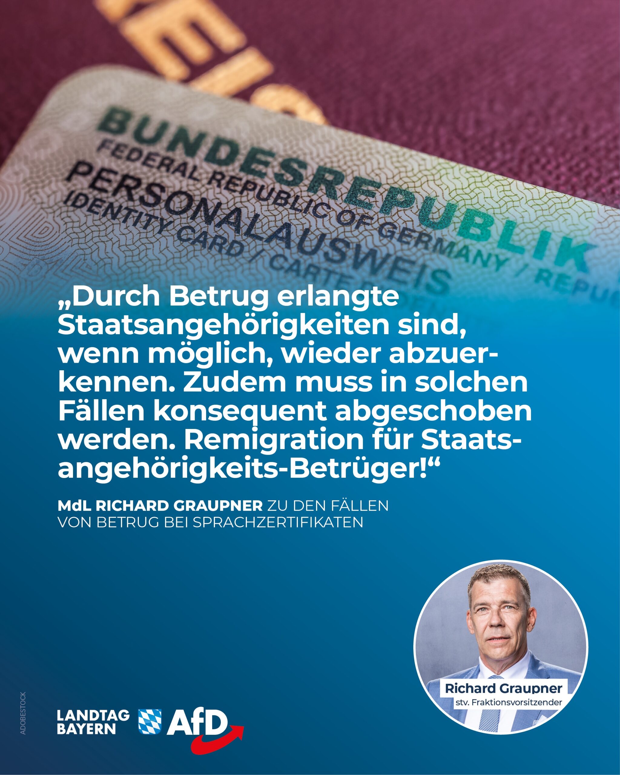 AfD Fraktion im Bayerischen Landtag 12 Pass Betrug scaled